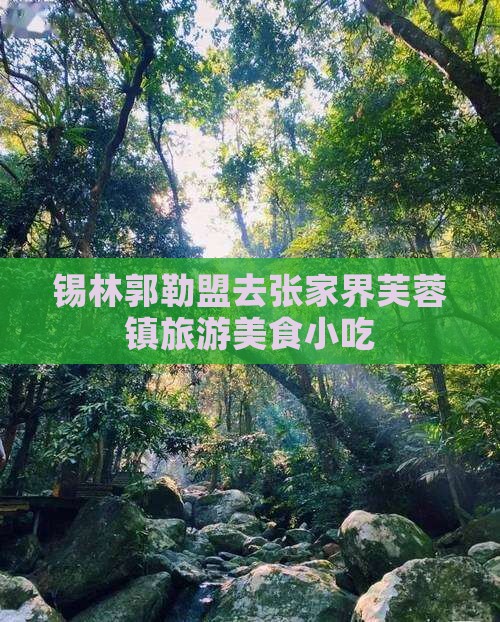 锡林郭勒盟去张家界芙蓉镇旅游小吃