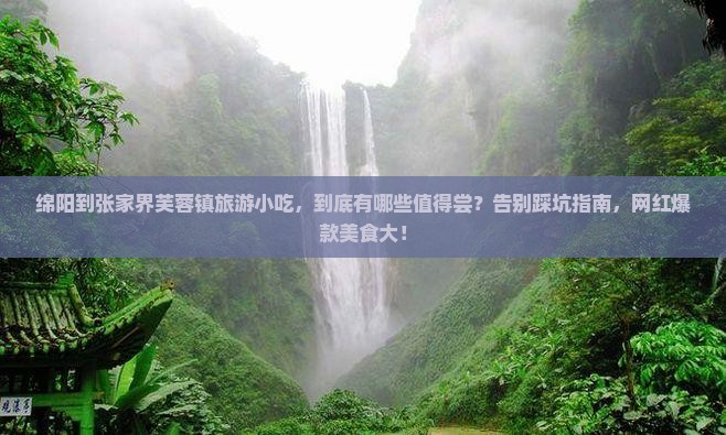 绵阳到张家界芙蓉镇旅游小吃