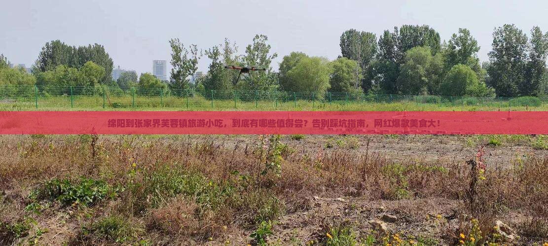 绵阳到张家界芙蓉镇旅游小吃