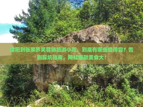 绵阳到张家界芙蓉镇旅游小吃