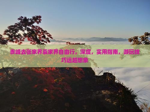 赤峰去张家界袁家界自由行