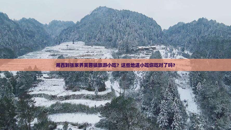 湘西到张家界芙蓉镇旅游小吃