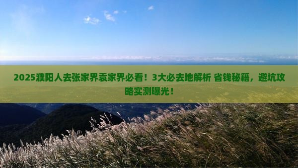 濮阳去张家界袁家界必去地