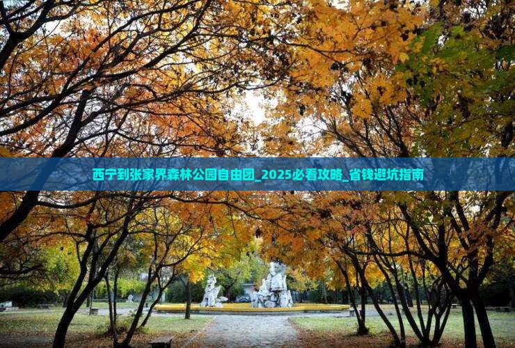 西宁到张家界森林公园自由团
