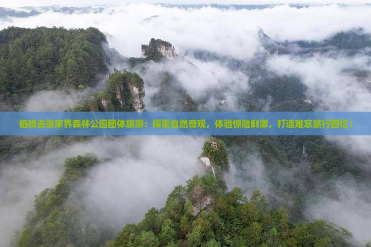 临猗去张家界森林公园团体旅游