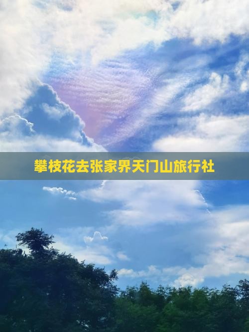 攀枝花去张家界天门山旅行社