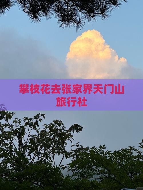 攀枝花去张家界天门山旅行社