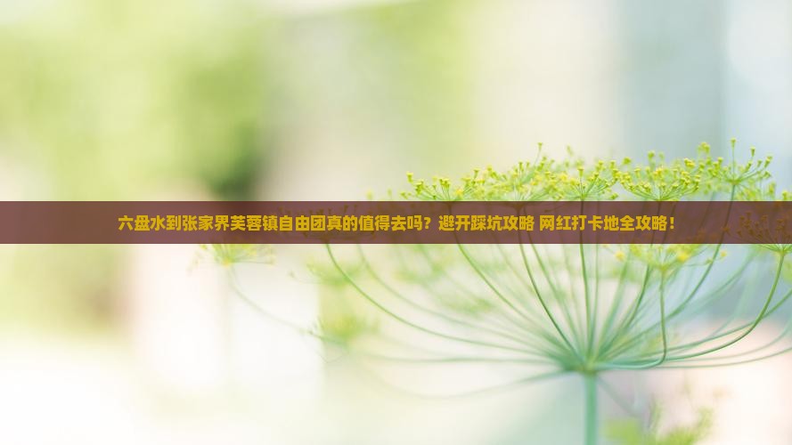 六盘水到张家界芙蓉镇自由团