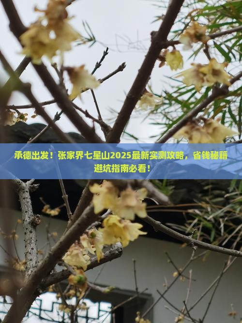 承德到张家界七星山攻略