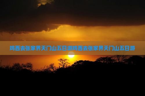 鸡西去张家界天门山五日游
