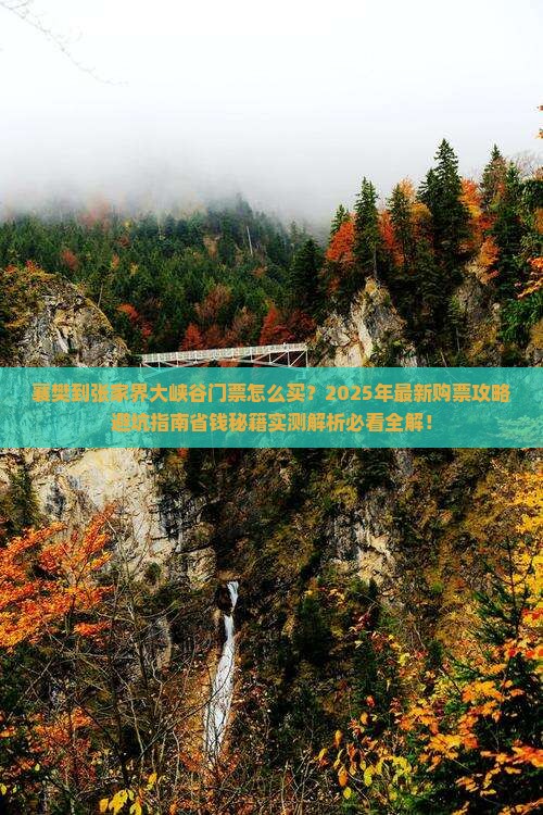 襄樊到张家界大峡谷门票
