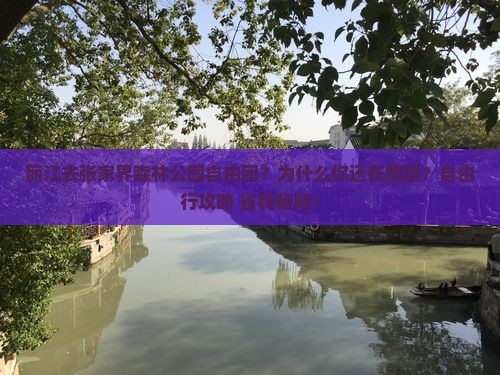 丽江去张家界森林公园自由团
