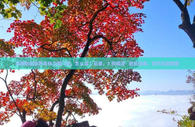 济南到张家界森林公园门票