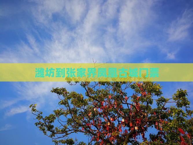 潍坊到张家界凤凰古城门票