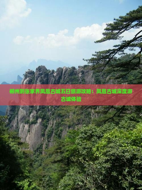 郴州到张家界凤凰古城五日游