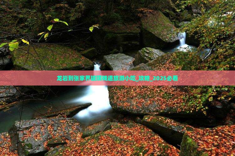 龙岩到张家界玻璃栈道旅游小吃