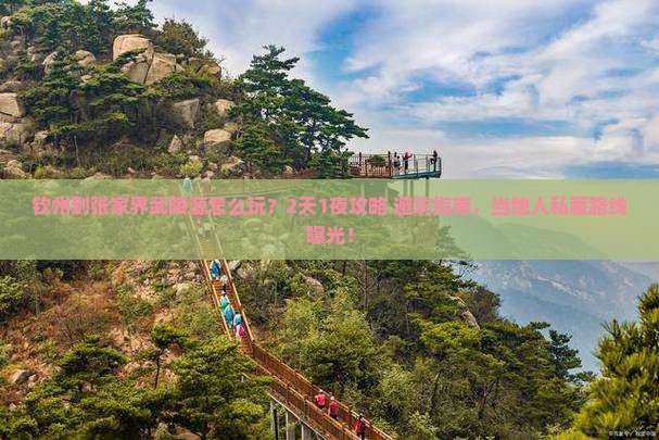 钦州到张家界武陵源旅行社