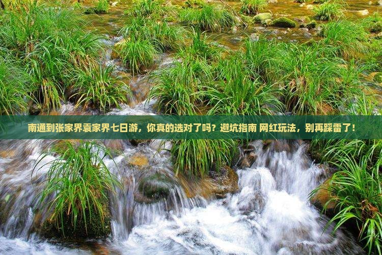 南通到张家界袁家界七日游