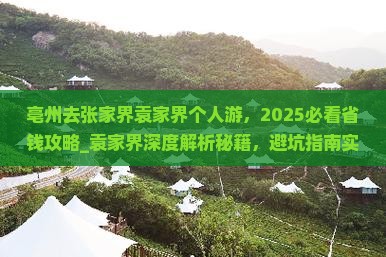 亳州去张家界袁家界个人游