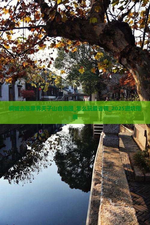 桐城去张家界天子山自由团