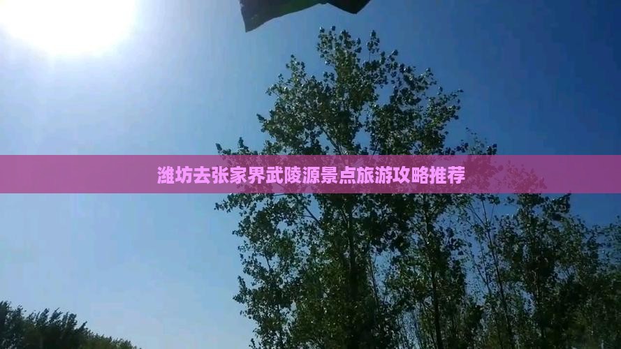 潍坊去张家界武陵源景点