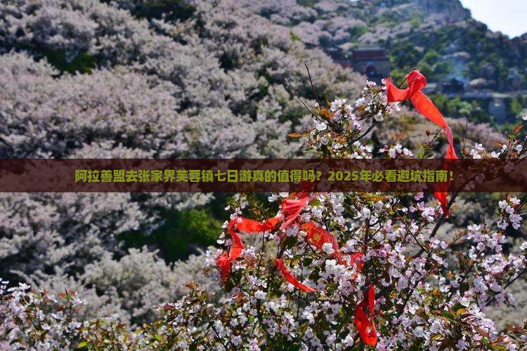阿拉善盟去张家界芙蓉镇七日游