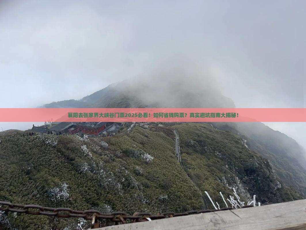 襄阳去张家界大峡谷门票