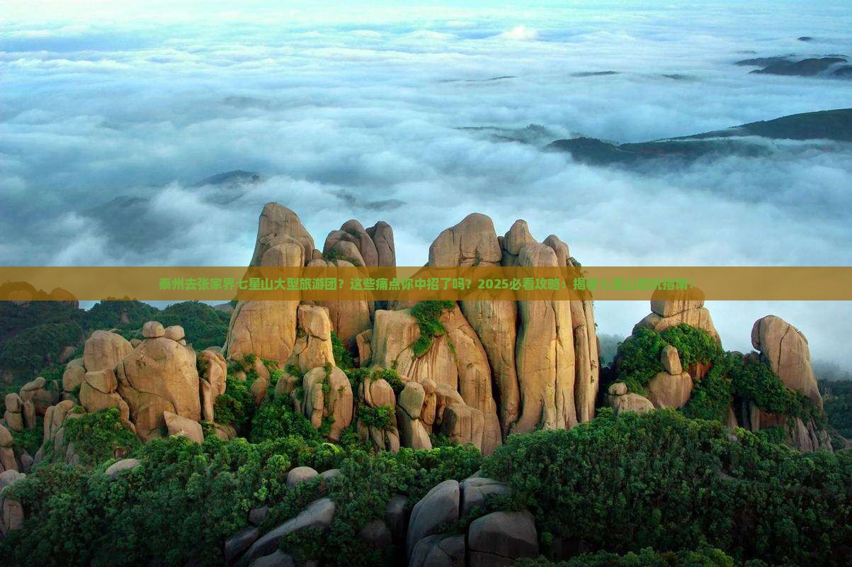 泰州去张家界七星山大型旅游团
