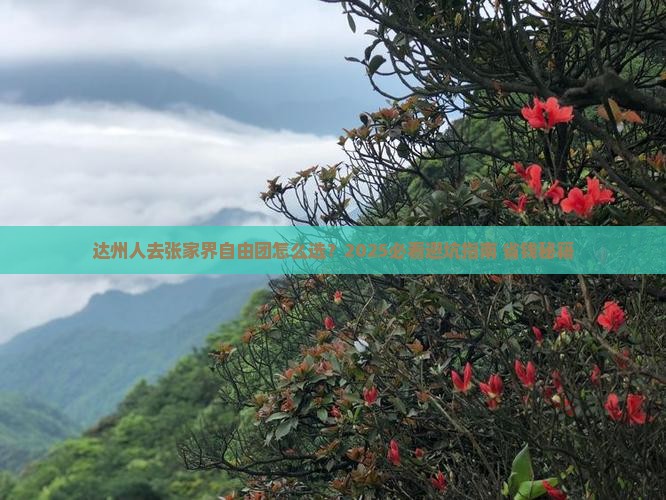达州去张家界自由团