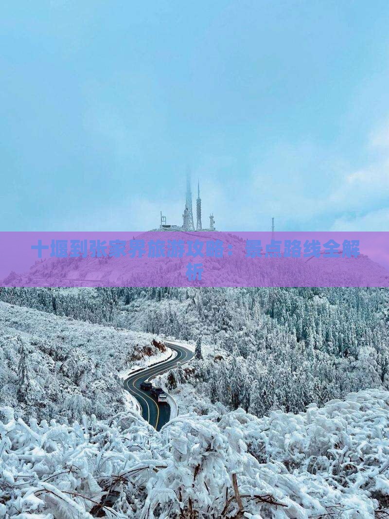 十堰到张家界森林公园哪里玩