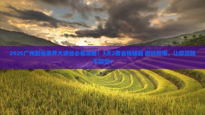 广州到张家界大峡谷景点