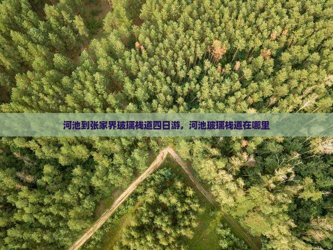 河池到张家界玻璃栈道四日游
