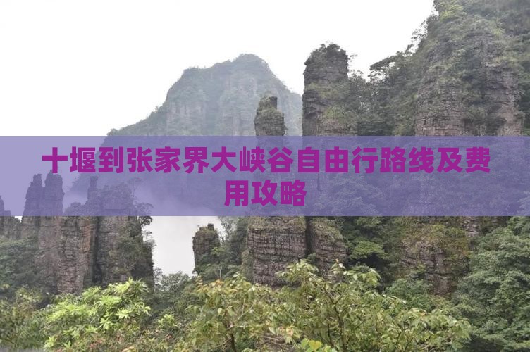 十堰到张家界大峡谷自由行