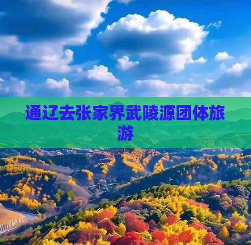 通辽去张家界武陵源团体旅游