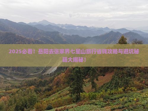 岳阳去张家界七星山旅行社