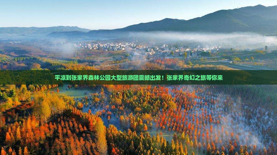 平凉到张家界森林公园大型旅游团