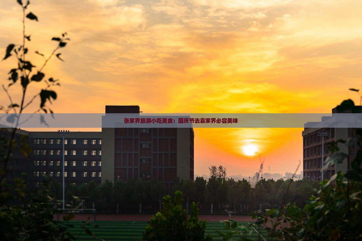 国庆节去张家界袁家界旅游小吃