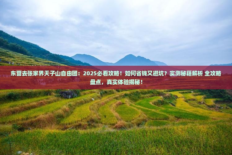 东营去张家界天子山自由团