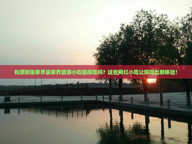 松原到张家界袁家界旅游小吃