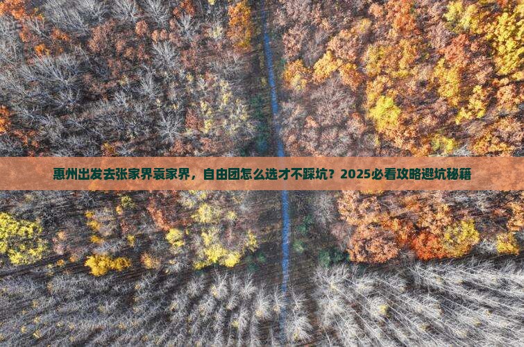惠州去张家界袁家界自由团