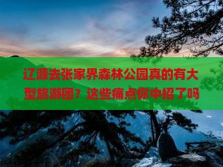 辽源去张家界森林公园大型旅游团
