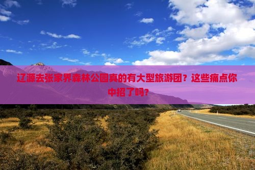 辽源去张家界森林公园大型旅游团