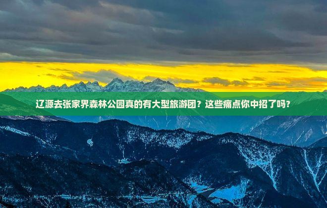 辽源去张家界森林公园大型旅游团