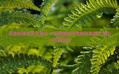 河池到张家界七星山一日