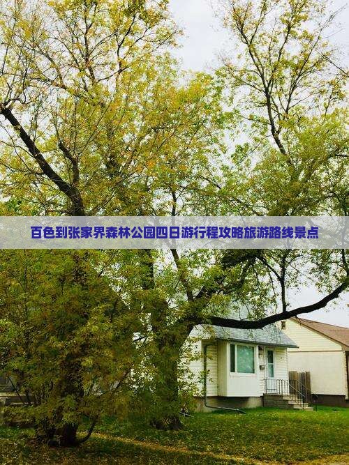 百色到张家界森林公园四日游