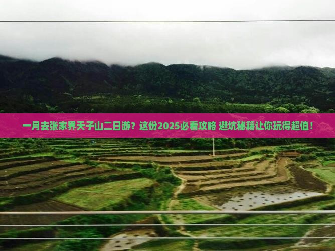 一月去张家界天子山二日游