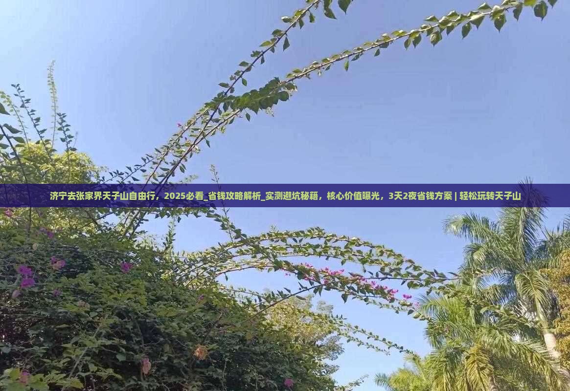 济宁去张家界天子山自由行