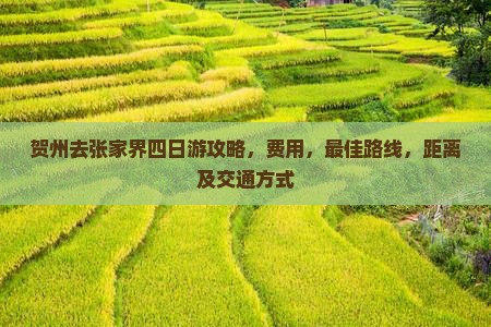 贺州去张家界四日游 贺州去张家界四日游