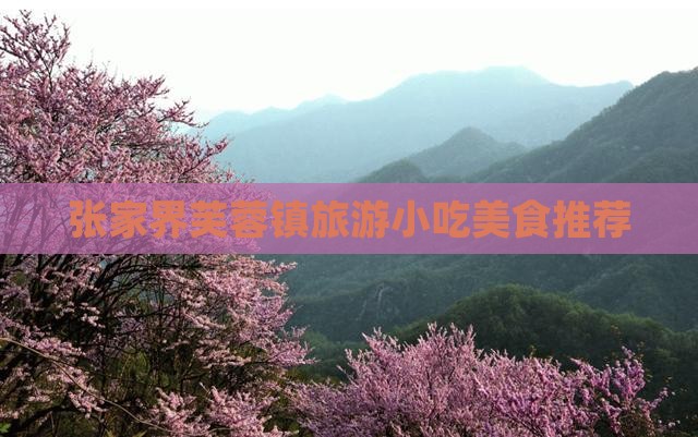 周口去张家界芙蓉镇旅游小吃
