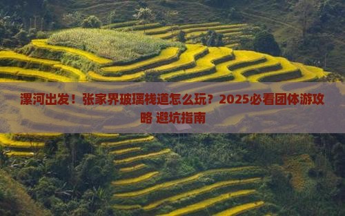 漯河到张家界玻璃栈道团体旅游